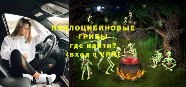 твердый Алзамай