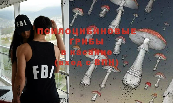 твердый Алзамай