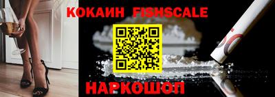 гашик Новокубанск