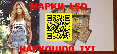 гашик Новокубанск
