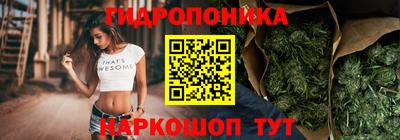гашик Новокубанск
