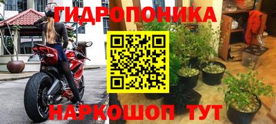 гашик Новокубанск