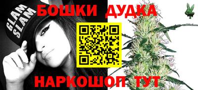 гашик Новокубанск