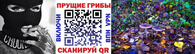 Галлюциногенные грибы Magic Shrooms  Чистополь 