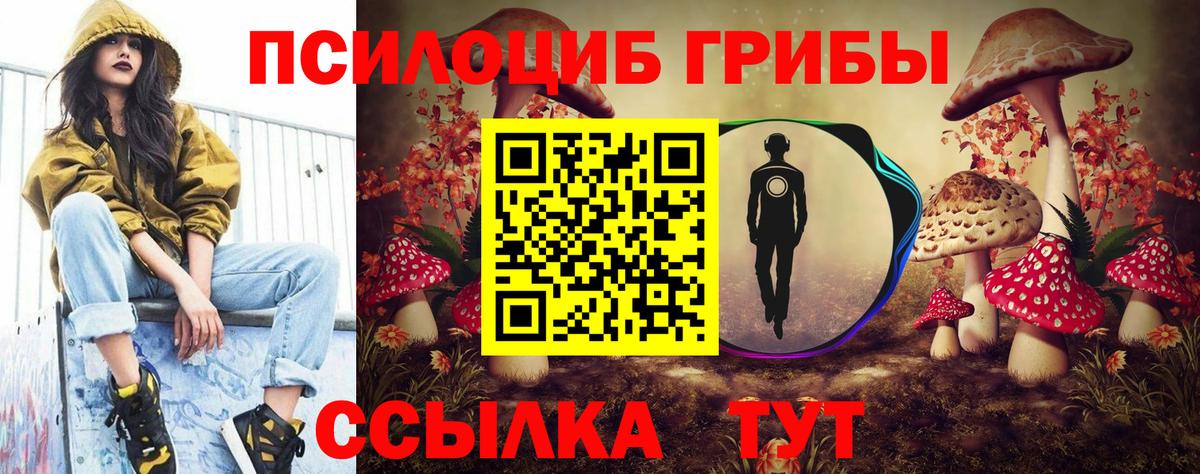 Псилоцибиновые грибы ЛСД Чистополь